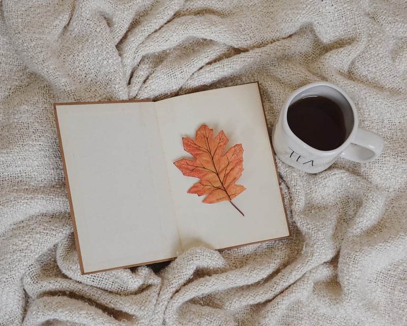 Cozy Fall Recipes